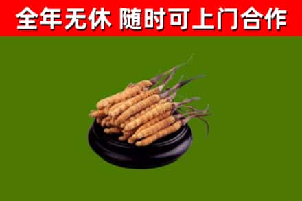 萧市烟酒回收冬虫夏草.jpg