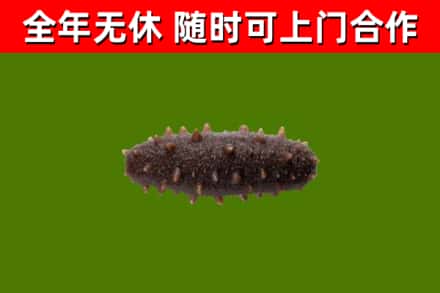 萧市烟酒回收干海参.jpg